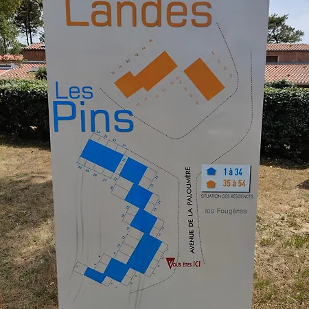 Vila Les Pins Patio Avec Terrasse Dans La Pinede A Pied Pour 4 Personnes Seignosse