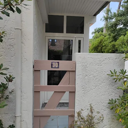 Les Pins Patio Avec Terrasse Dans La Pinede A Pied Pour 4 Personnes Vila