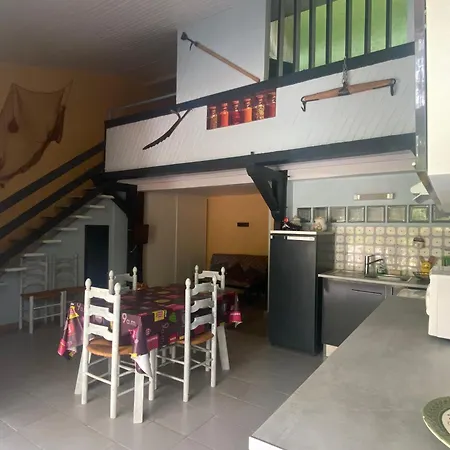 Les Pins Patio Avec Terrasse Dans La Pinede Plage A Pied Pour 4 Personnes Seignosse